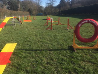 exercising on the dog agility course
